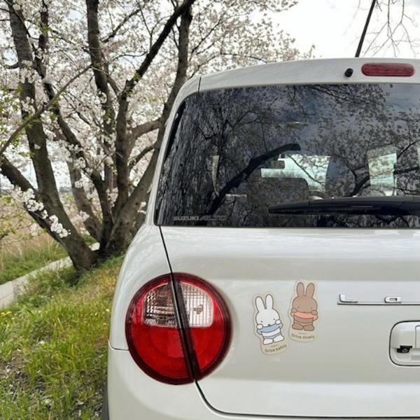 miffy magnets for car 