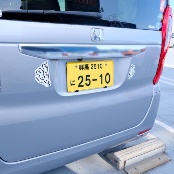 miffy magnets for car 